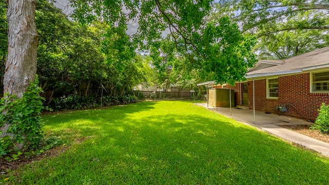 view of yard featuring a patio area