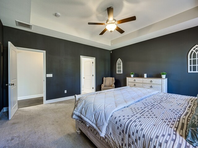 13733 Macon Rd, Upatoi, GA 31829 - bedroom with carpet, a raised ceiling, and a ceiling fan