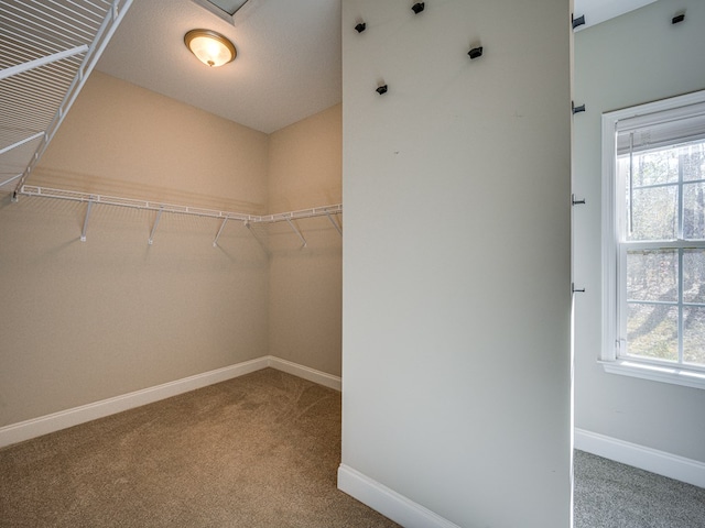13733 Macon Rd, Upatoi, GA 31829 - spacious closet featuring carpet floors