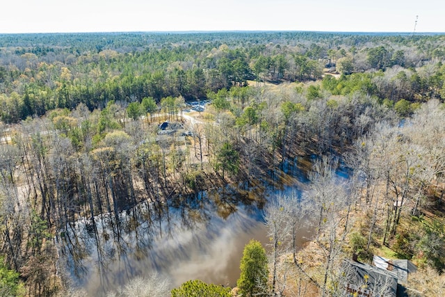 13733 Macon Rd, Upatoi, GA 31829 - aerial view of property and surrounding area featuring a heavily wooded area and a large body of water
