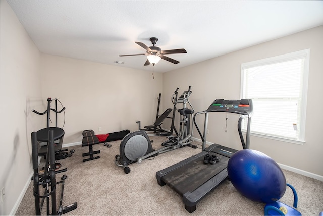 56 Southern Oaks Dr, Smiths Station, AL 36877 - photo 27