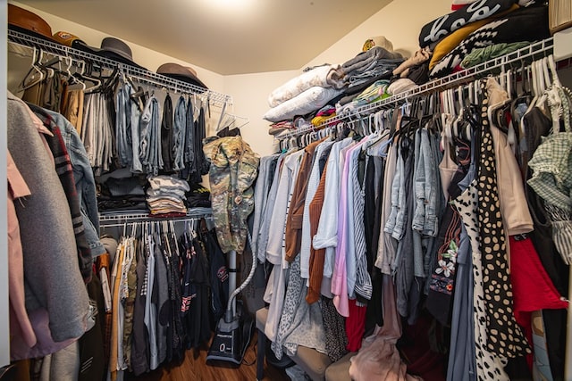 walk in closet featuring wood-type flooring