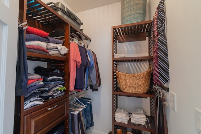 view of spacious closet