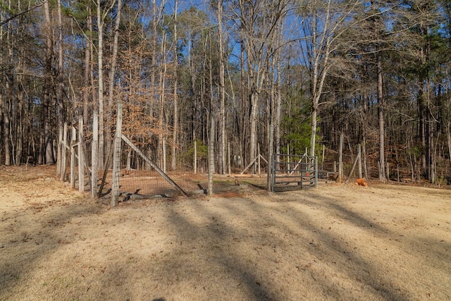 view of local wilderness