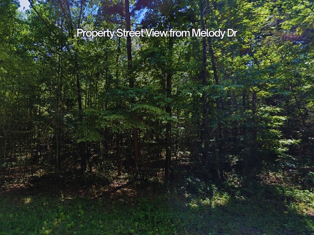 LOTS94D Melody Dr, Waverly Hall, GA 31831