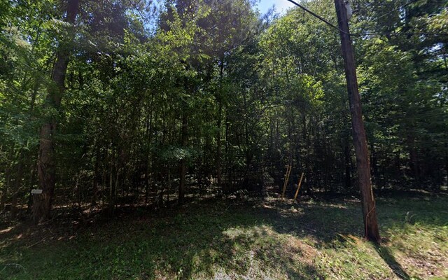 LOTS94D Melody Dr, Waverly Hall, GA 31831