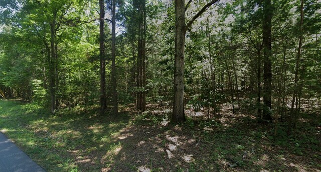 LOTS94D Melody Dr, Waverly Hall, GA 31831