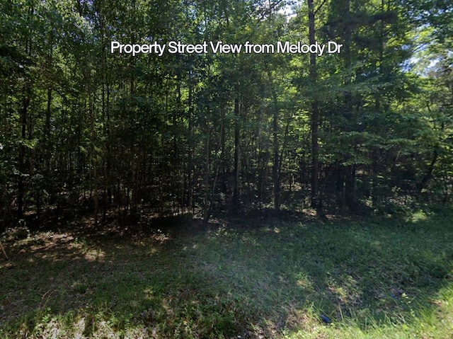 LOTS94D Melody Dr, Waverly Hall, GA 31831