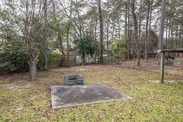 view of yard with a patio and a fenced backyard