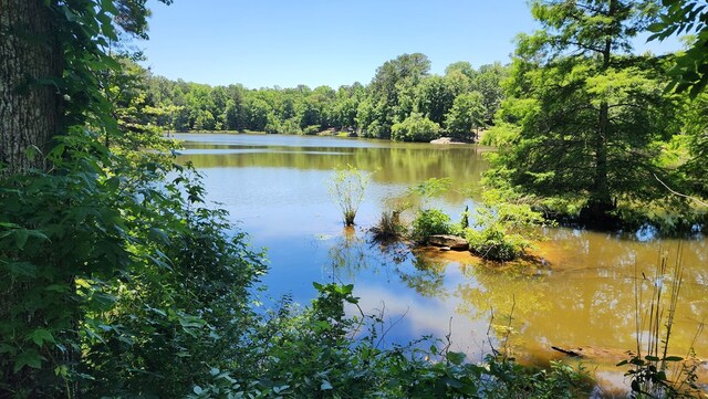 4232 Almond Rd, Fortson, GA 31808 - water view with a forest