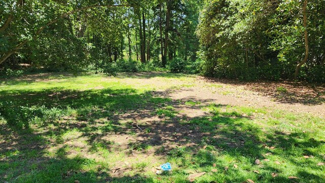 4232 Almond Rd, Fortson, GA 31808 - view of yard with a view of trees