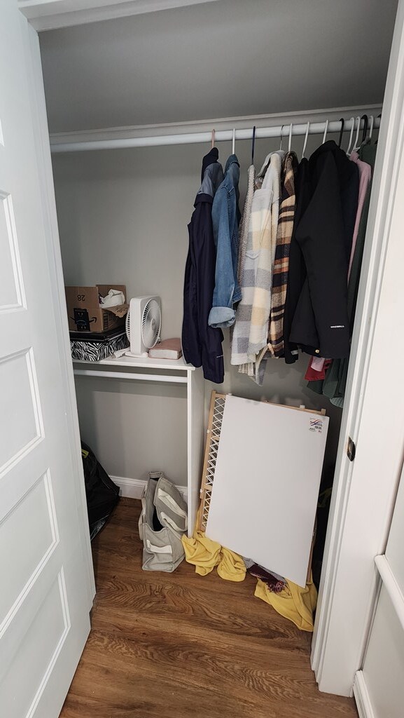 4232 Almond Rd, Fortson, GA 31808 - view of closet