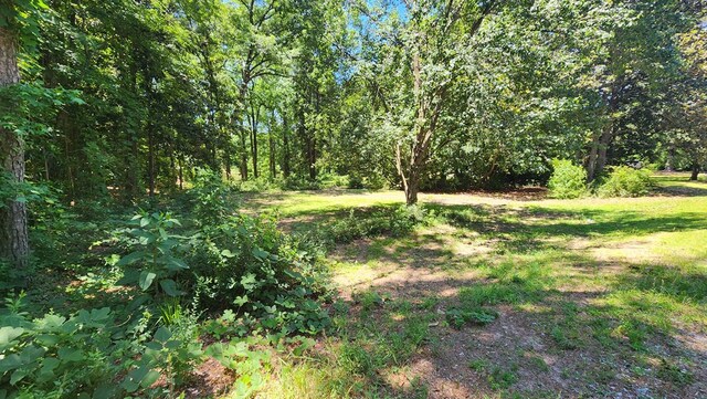4232 Almond Rd, Fortson, GA 31808 - view of wooded area