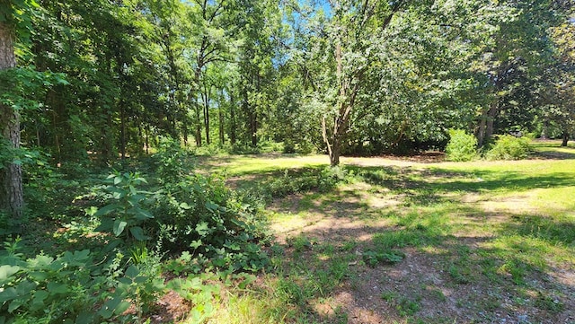 4232 Almond Rd, Fortson, GA 31808 - view of woods
