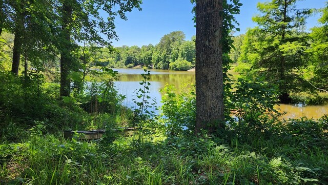 4232 Almond Rd, Fortson, GA 31808 - water view with a forest