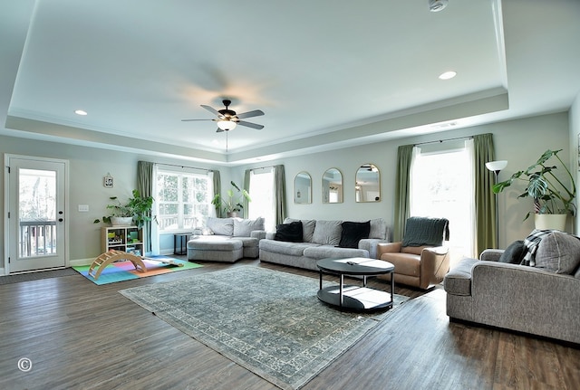 living room featuring ceiling fan, a raised ceiling, crown molding, and dark wood-type flooring