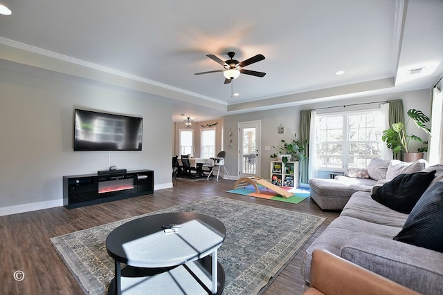 living room with a healthy amount of sunlight, crown molding, a raised ceiling, and dark wood-type flooring