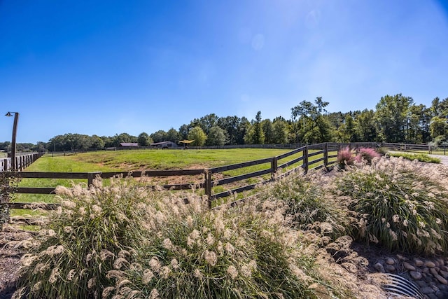 view of yard with a rural view