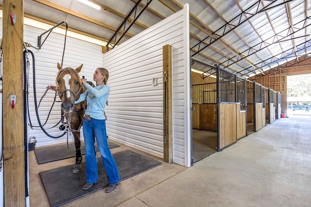 view of horse barn