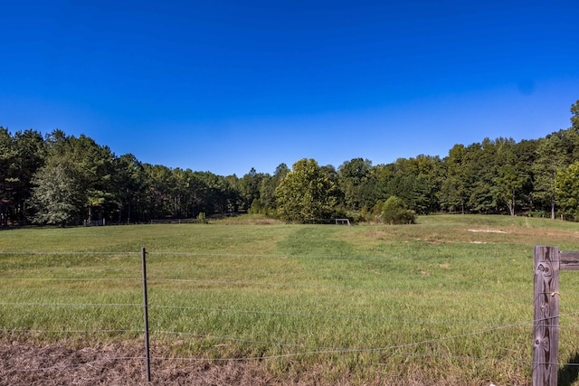 view of yard with a rural view