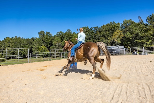 view of stable with a rural view