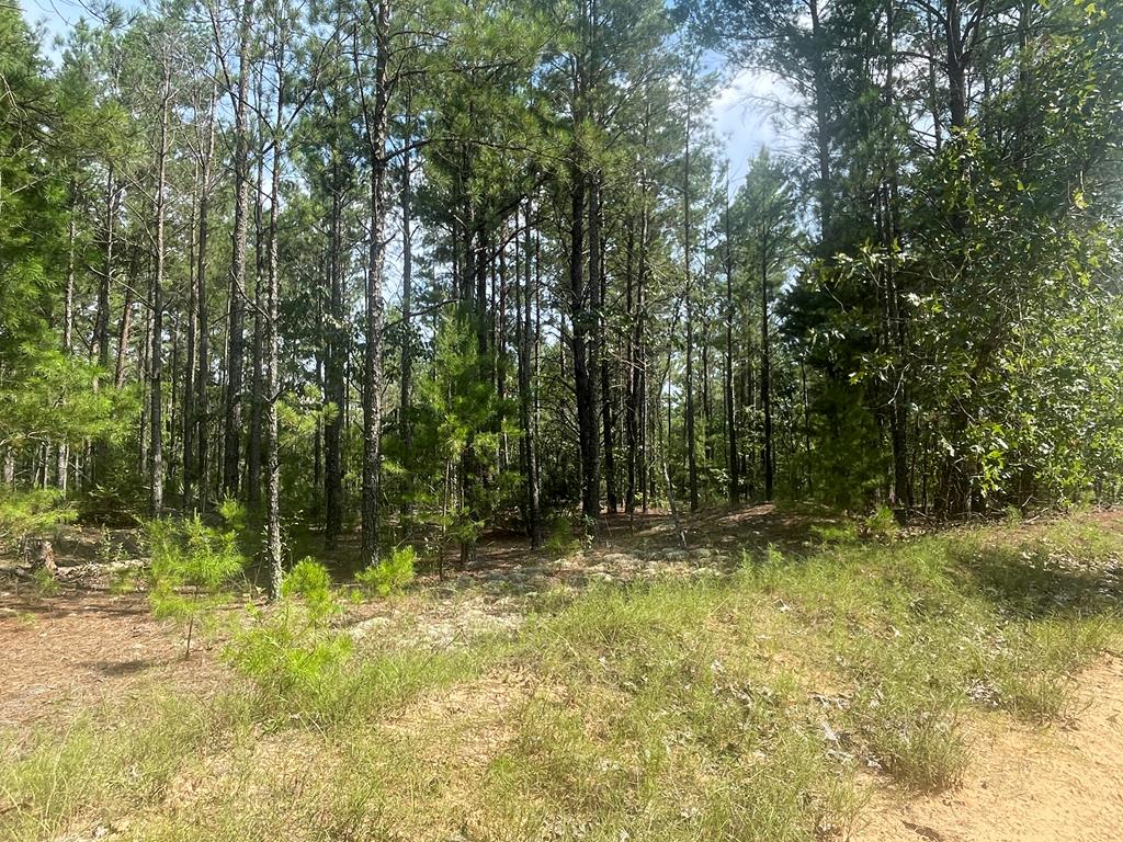 0 James Stubbs Rd, Mauk, GA 31058 - photo 1