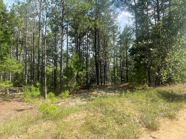 0 James Stubbs Rd, Mauk, GA 31058 - photo 1
