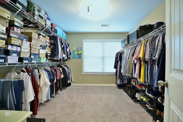 72W Teddy Bear Ln, Waverly Hall, GA 31831 - spacious closet with carpet flooring