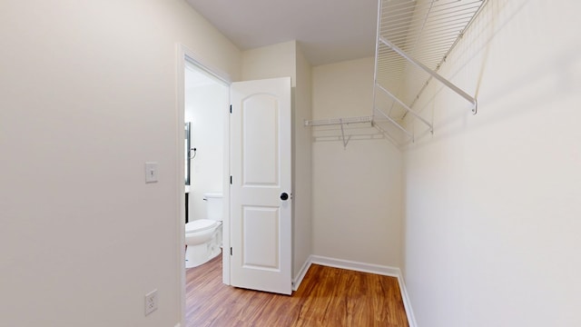 walk in closet featuring wood finished floors