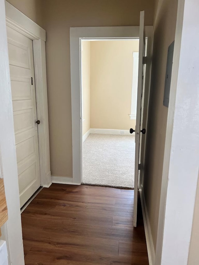 corridor with dark hardwood / wood-style floors