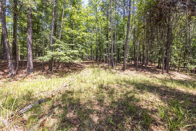 LOT16 Lake Bright Dr, Columbus, GA 31904