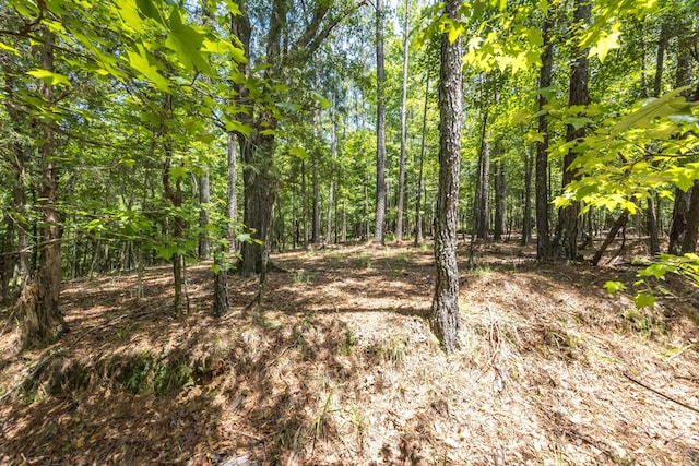 LOT16 Lake Bright Dr, Columbus, GA 31904