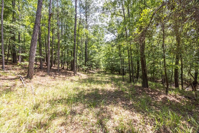 LOT16 Lake Bright Dr, Columbus, GA 31904