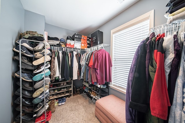 9597 Yarbrough Rd, Midland, GA 31820 - walk in closet with carpet
