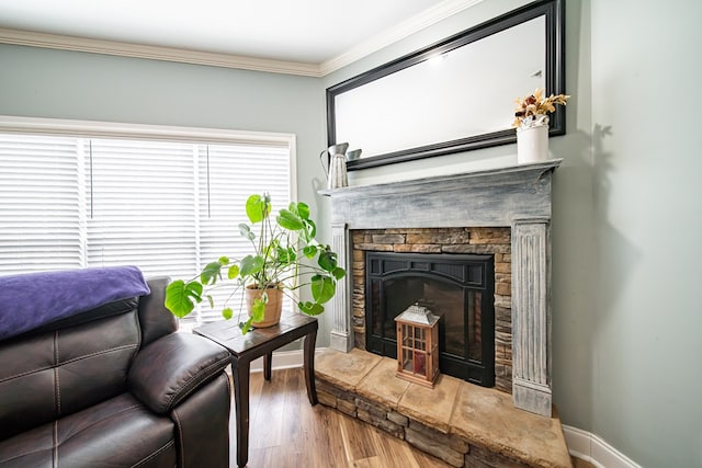 9597 Yarbrough Rd, Midland, GA 31820 - living area featuring a stone fireplace, ornamental molding, wood finished floors, and baseboards