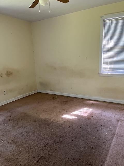 empty room with carpet, baseboards, and ceiling fan
