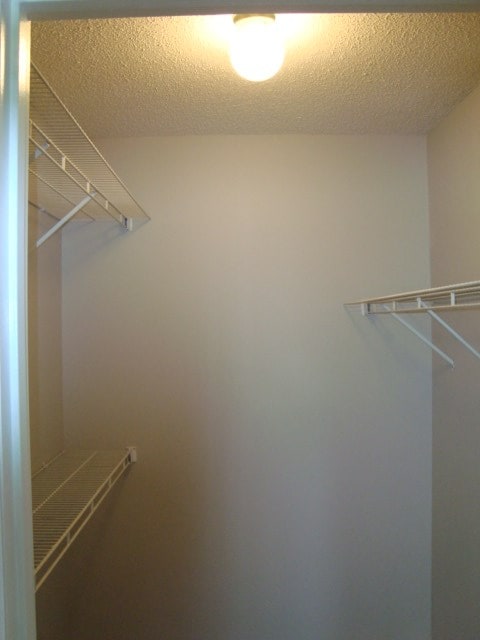 4118 Terrace Pointe Dr, Columbus, GA 31909 - view of spacious closet