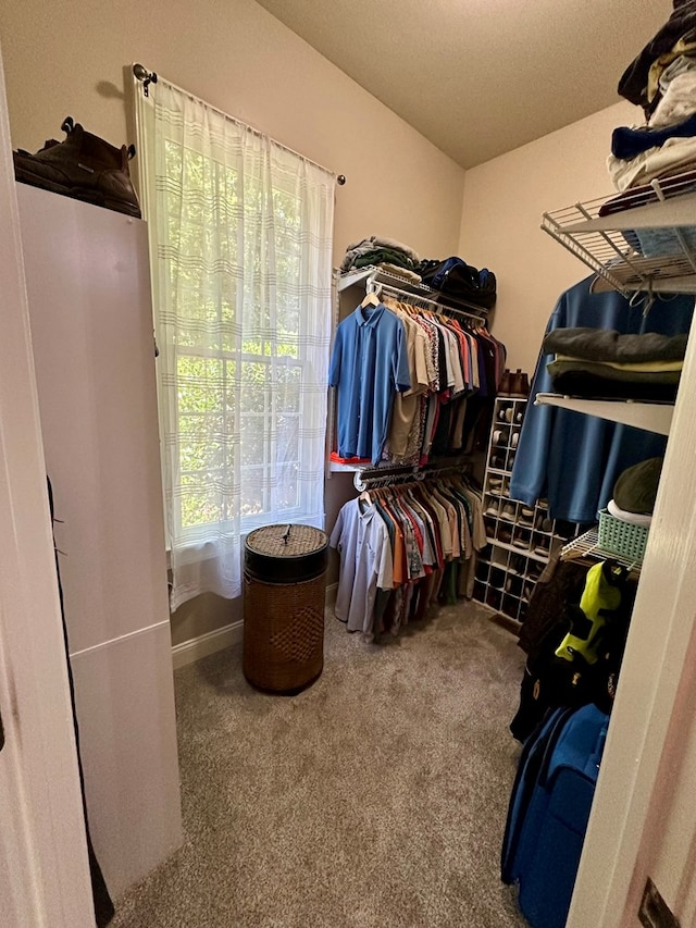 105 Lake View Dr, Hamilton, GA 31811 - spacious closet with carpet flooring