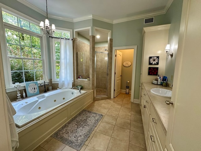 105 Lake View Dr, Hamilton, GA 31811 - bathroom featuring a stall shower, a jetted tub, healthy amount of natural light, a chandelier, and ornamental molding