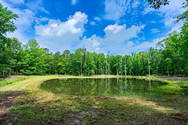 520 Dallas Mill Rd, Lagrange, GA 30241 - photo 44