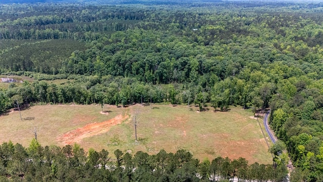 520 Dallas Mill Rd, Lagrange, GA 30241 - photo 48