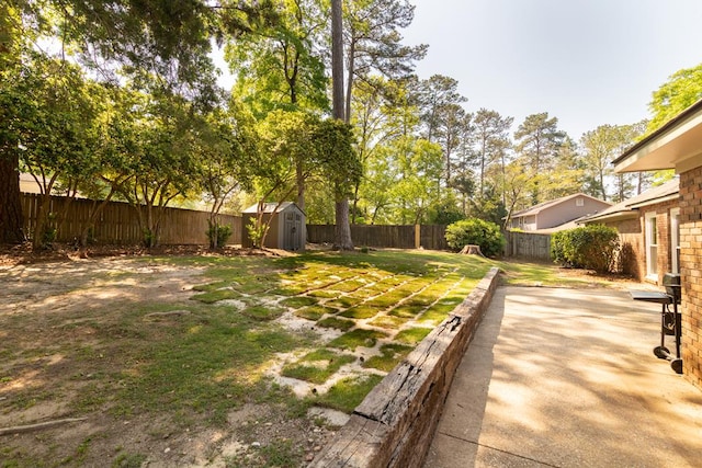 view of yard featuring a storage unit, a patio area, an outbuilding, and a fenced backyard