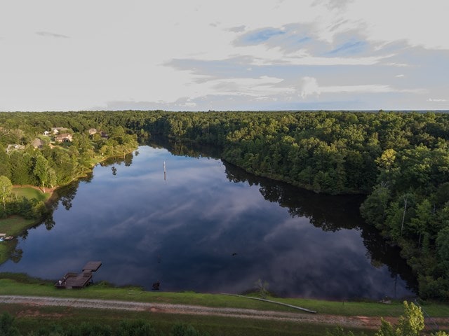 7715 Lynch Rd, Midland, GA 31820 - drone / aerial view of a forest and a nearby body of water
