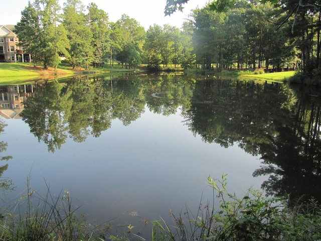 7715 Lynch Rd, Midland, GA 31820 - water view