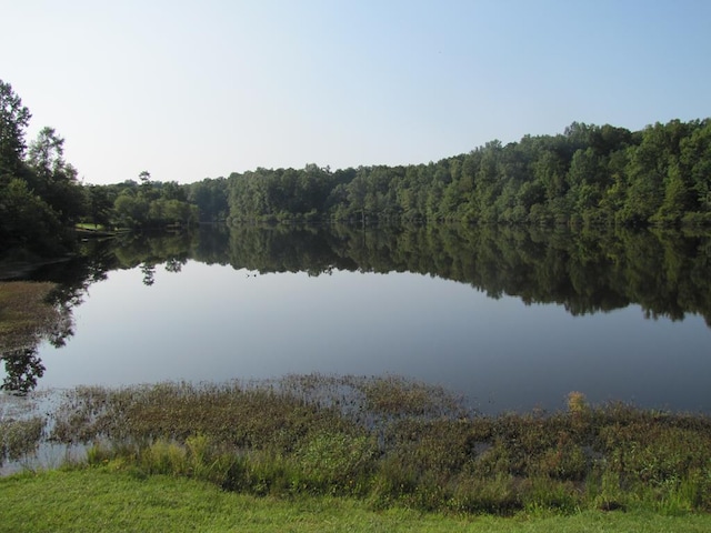 7715 Lynch Rd, Midland, GA 31820 - water view featuring a heavily wooded area