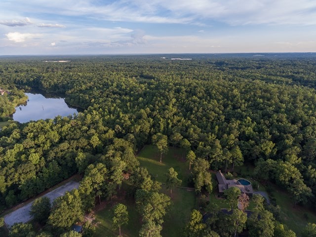 7715 Lynch Rd, Midland, GA 31820 - aerial overview of property's location with a forest and a large body of water