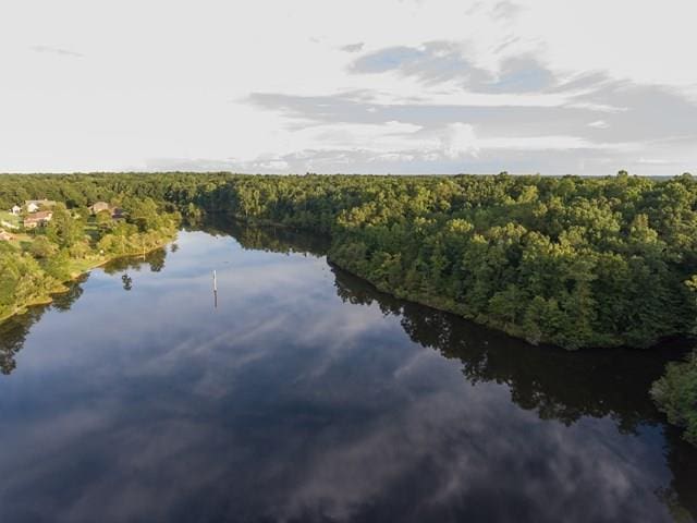 7715 Lynch Rd, Midland, GA 31820 - drone / aerial view of a forest and a nearby body of water