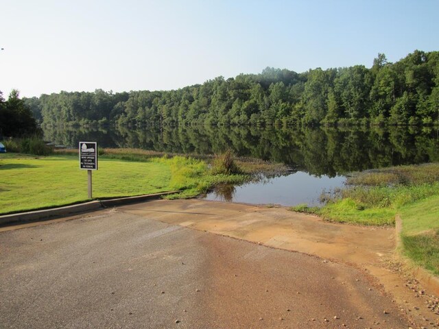 7715 Lynch Rd, Midland, GA 31820 - water view featuring a forest