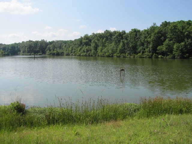 7715 Lynch Rd, Midland, GA 31820 - water view with a heavily wooded area