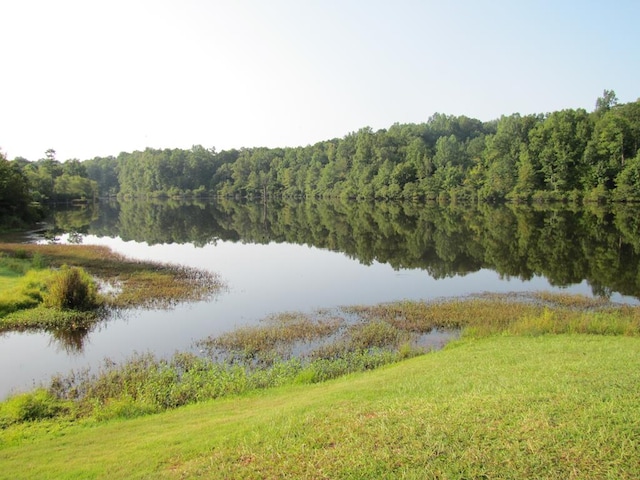 7715 Lynch Rd, Midland, GA 31820 - water view with a forest